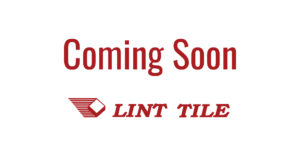 lint - coming soon