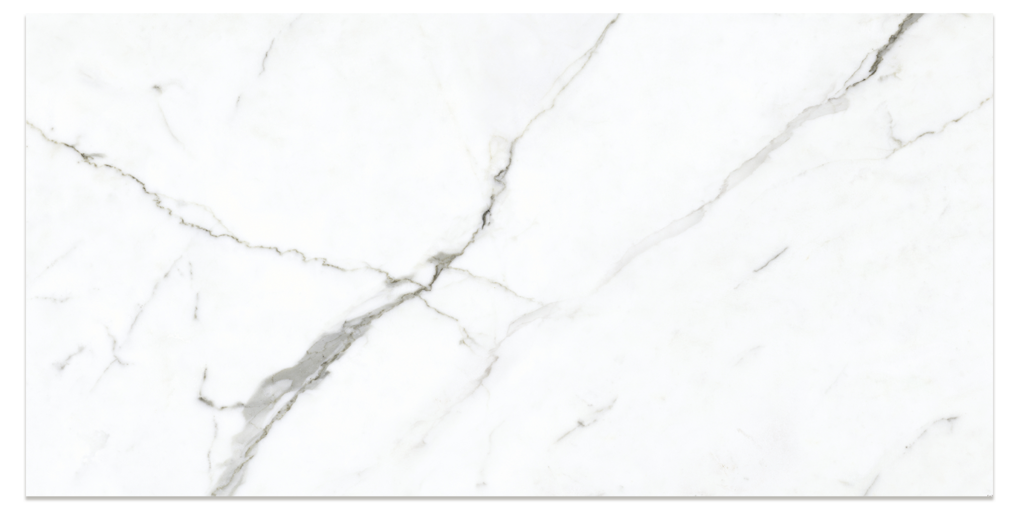 Preeminent-White-PRO1-24x48-Porcelain-matte-polished-tile-proportional ...