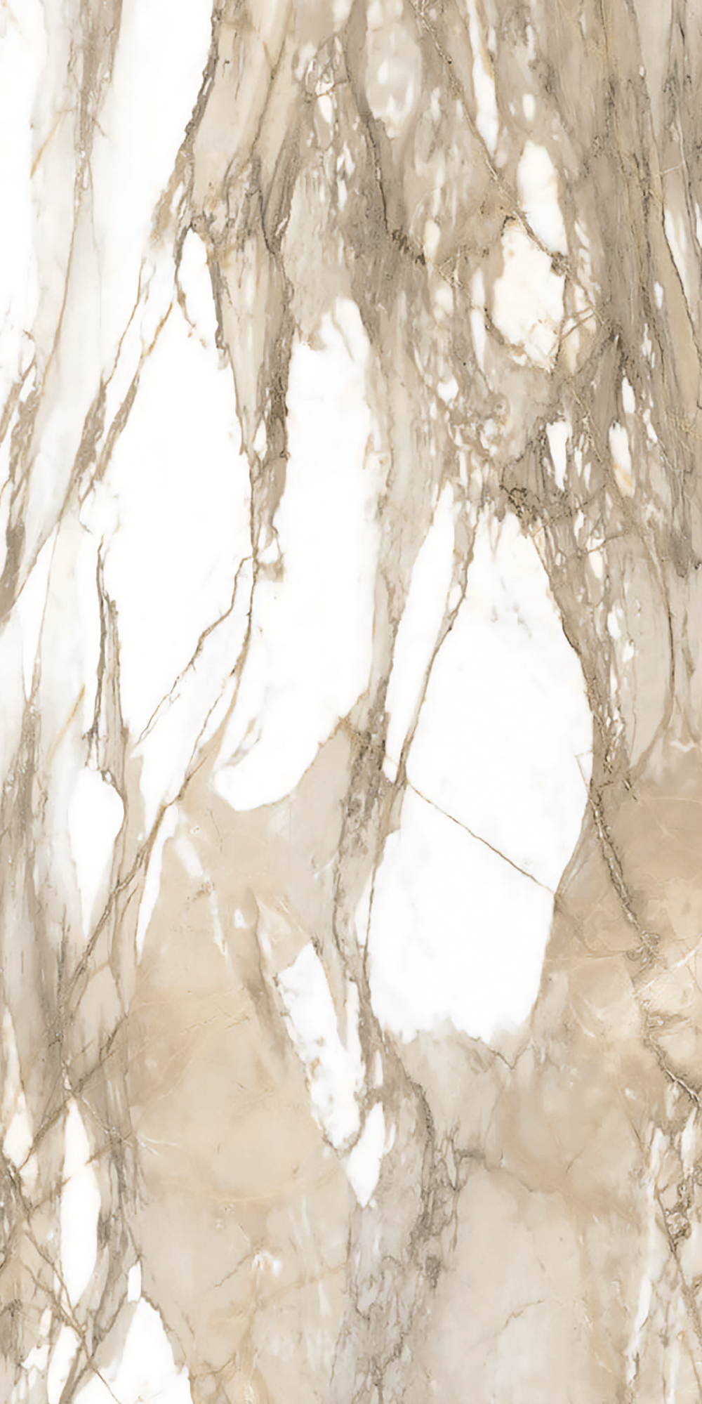 Classica Crema 24in x 48in Porcelian Field Tile - Matte or Polished