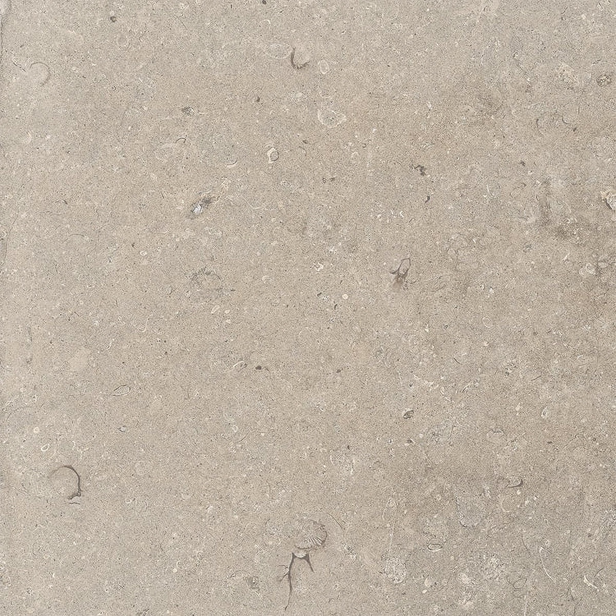 24x24 2CM Porcelain Outdoor Paver - Lith Antique Cream