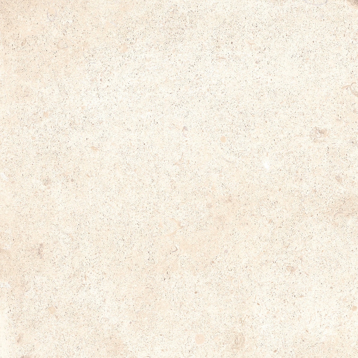 24x24 2CM Porcelain Outdoor Paver - Earth Moon White