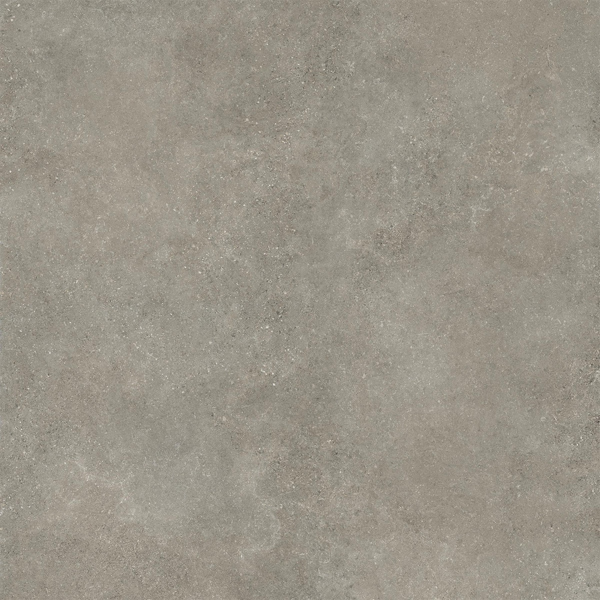 24x24 2CM Porcelain Outdoor Paver - Untamed Wander Ash