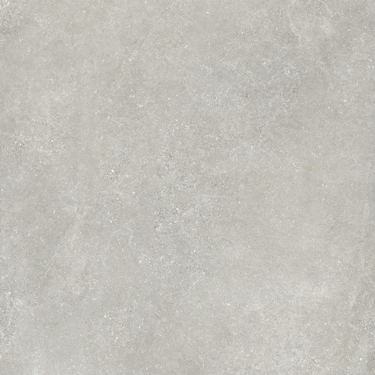 24x24 2CM Porcelain Outdoor Paver - Untamed Wander Cool