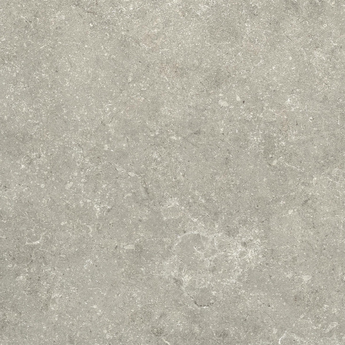 24x24 2CM Porcelain Outdoor Paver - Untamed Wander Sage