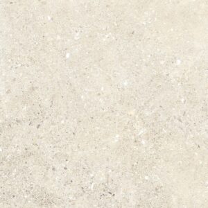 24x24 2CM Porcelain Outdoor Paver - Untamed Wander Warm