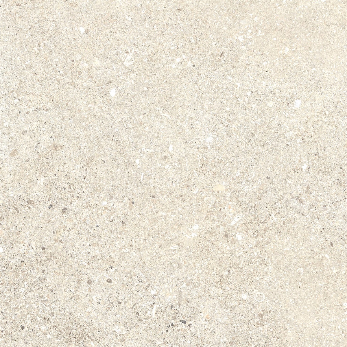 24x24 2CM Porcelain Outdoor Paver - Untamed Wander Warm